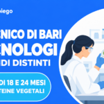 Politecnico di Bari: due bandi per tecnologi, contratti di 18 e 24 mesi