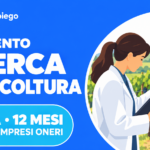 Borsa UniSalento di ricerca in viticoltura: 12 mesi, 20.000 euro compresi oneri
